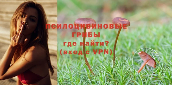 тгк Аркадак