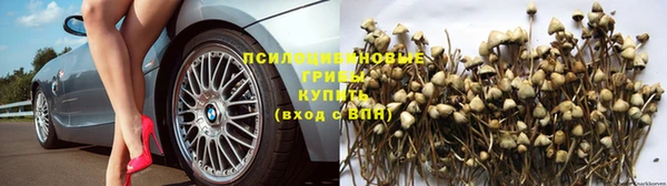 a pvp Арсеньев