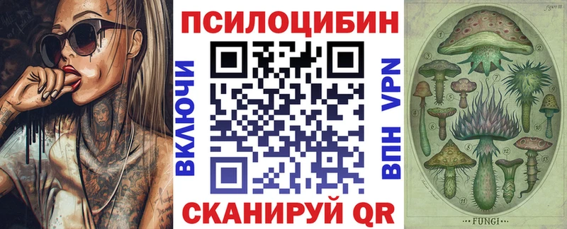 Псилоцибиновые грибы GOLDEN TEACHER  Купить где  Ветлуга 